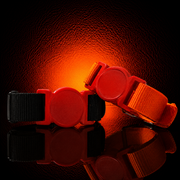 NFC Wrist Tag with Band - MAG-NFC-001 - MAG-NFC-001 (4)